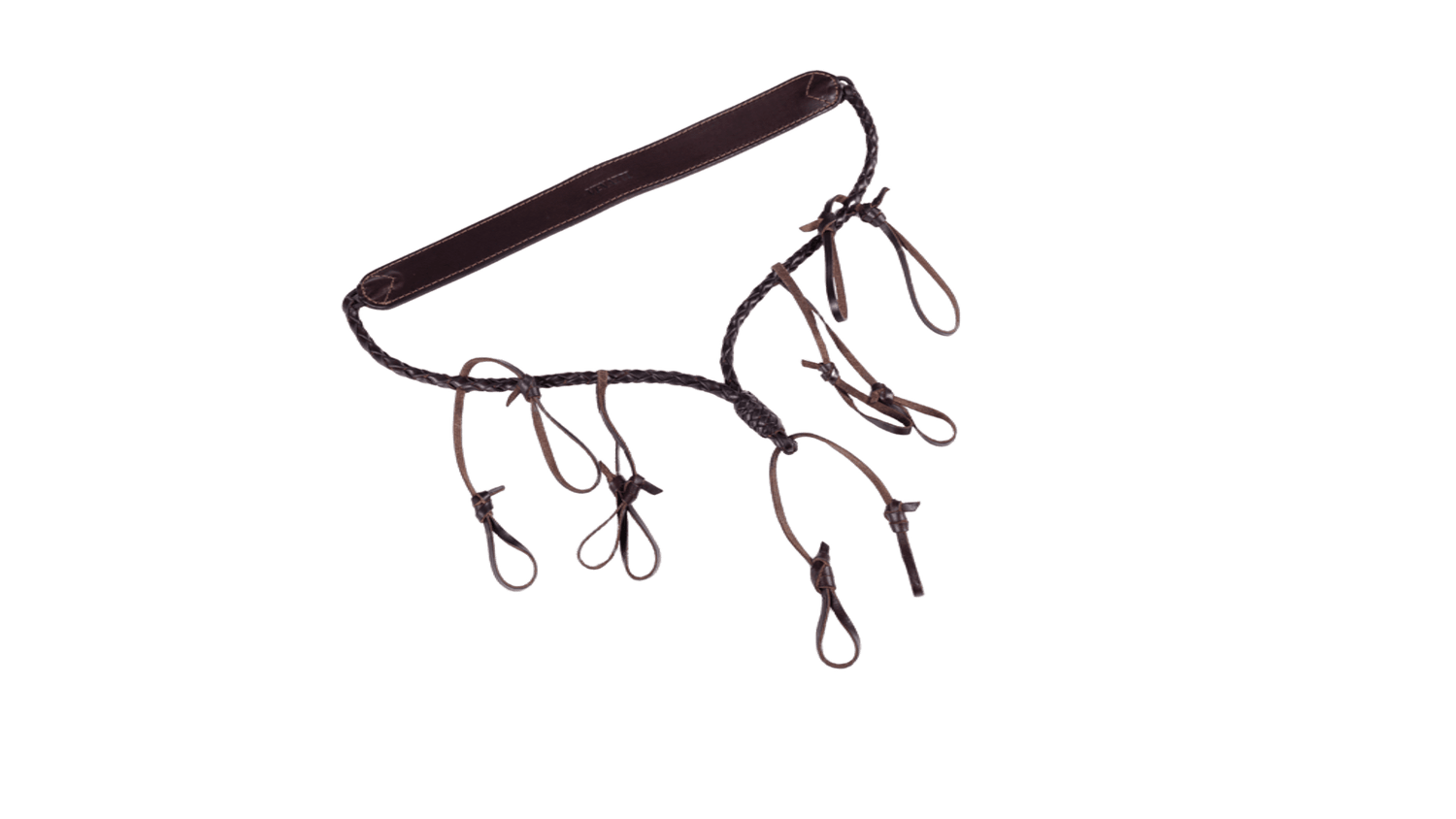 The Drake’s Lanyard